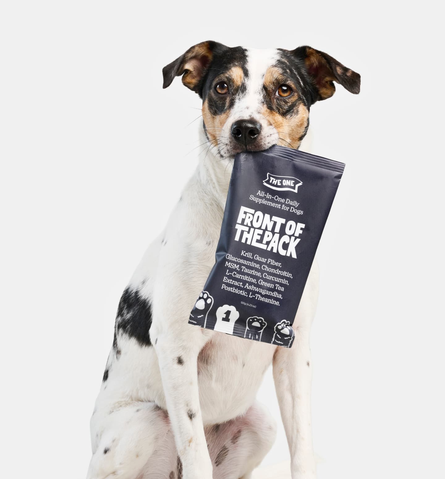 Discover The Story Behind Front of the Pack Dog Food & Supplements