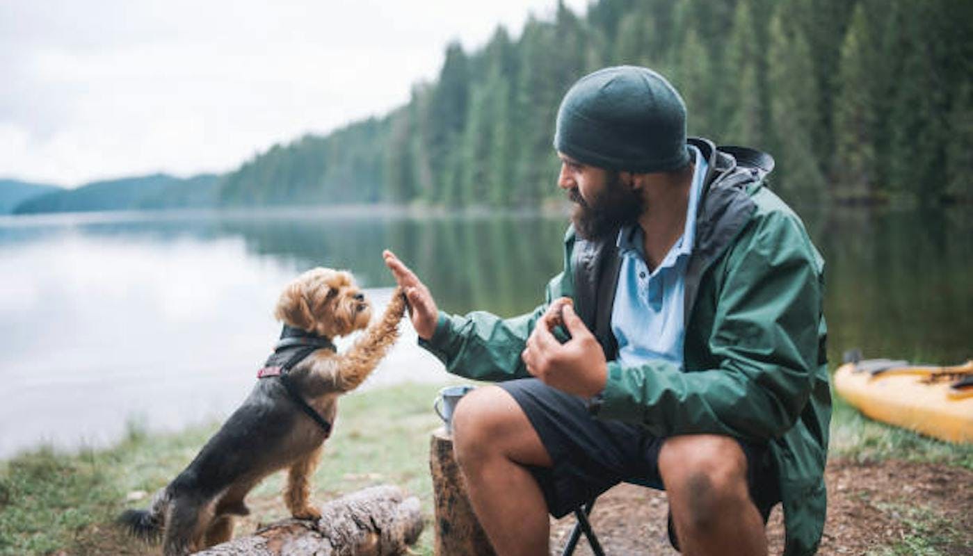 Dog next to lake with owner