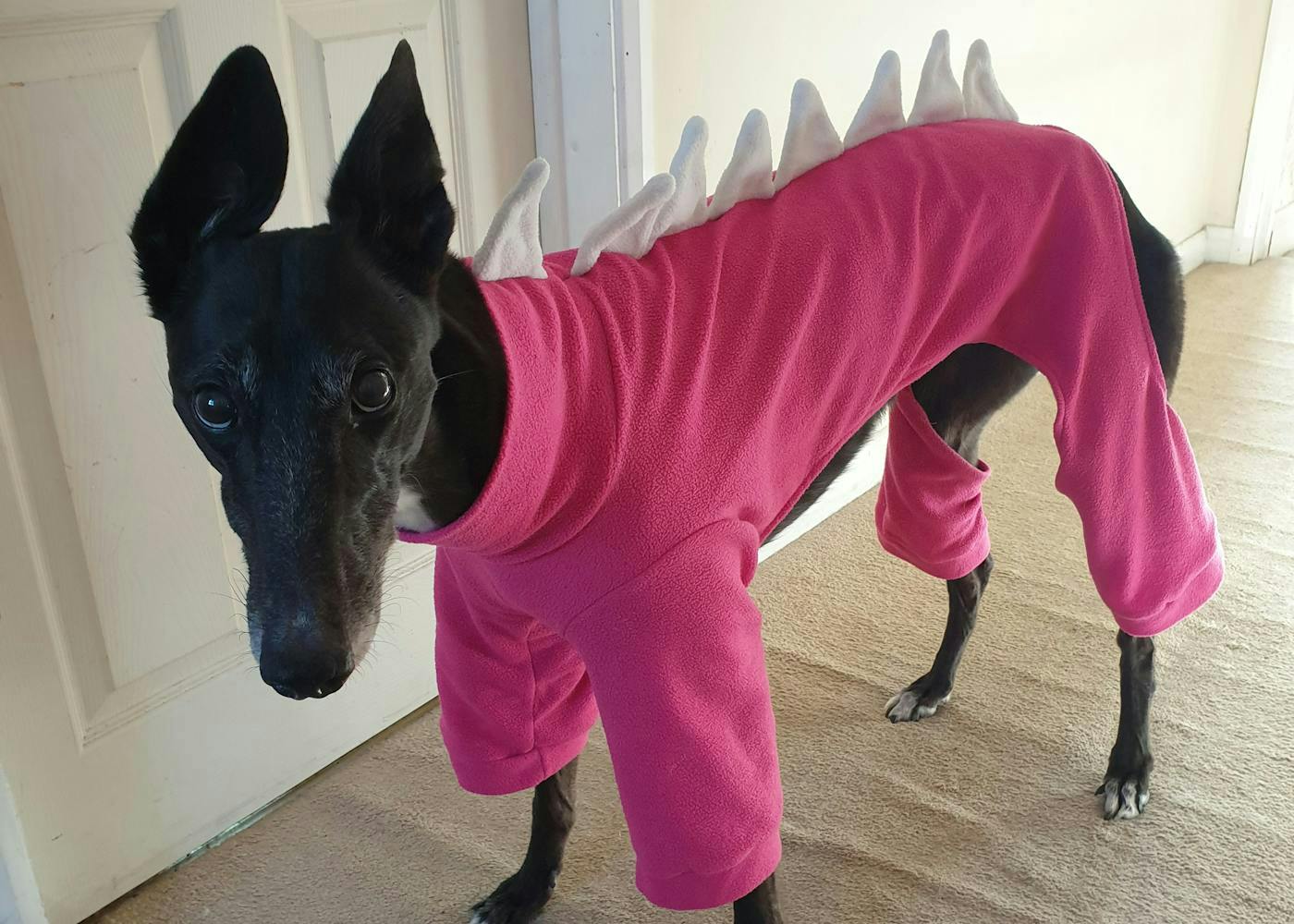 Elodie in her pink dino doggy jammies 