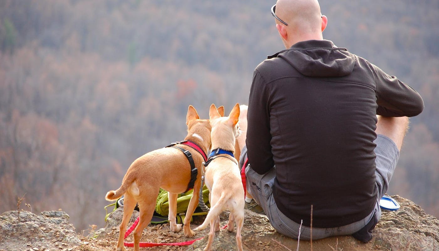 owner sat with dogs on hill