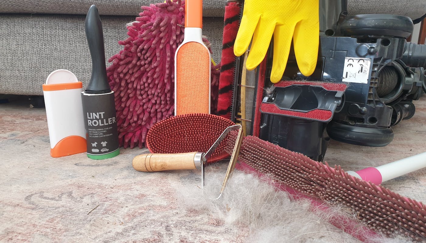 Everything you need to get rid of dog hair in your home