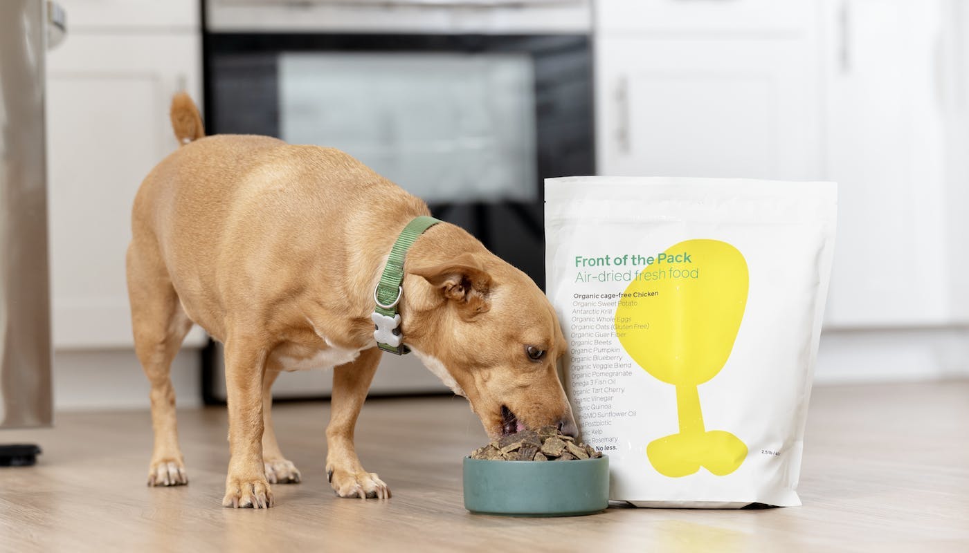 dog eating dinner in front of clearly labelled food pack